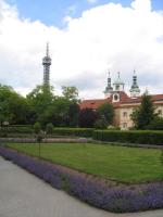 img_0589
