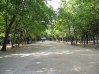 paris_00021