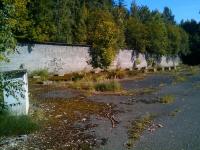 IMG_20110911_113054