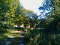 IMG_20110911_115049