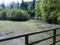 IMG_20130519_105509