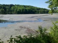 IMG_20130519_112508