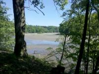 IMG_20130519_110602