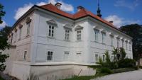 ZamekRadic2
